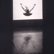 slide IRC.2012.02453 (old number: SMI.K-B001) showing Kiki Smith's installation, Bird from Muybridge, at the Mattress Factory, 1998.