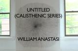 Video Tour:&nbsp;<em>Untitled (Calisthenic Series)</em>, William Anastasi