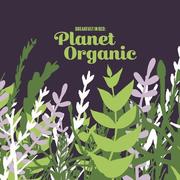 Breakfast in Bed: Planet Organic