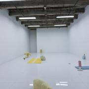 Digital image IRC.2012.04870 showing Nika Kupyrova's installation, Roadkill, at the Mattress Factory, 2011.